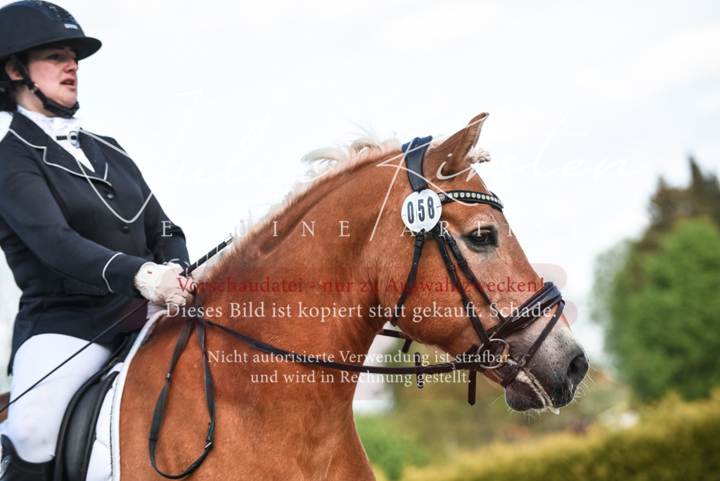 20230518_JK-Röhrsdorf-12-1068 | Pferde- und Turnierfotografie in Westsachsen. Pferdeportraits, Auftragszeichnungen und intuitive Kunst.