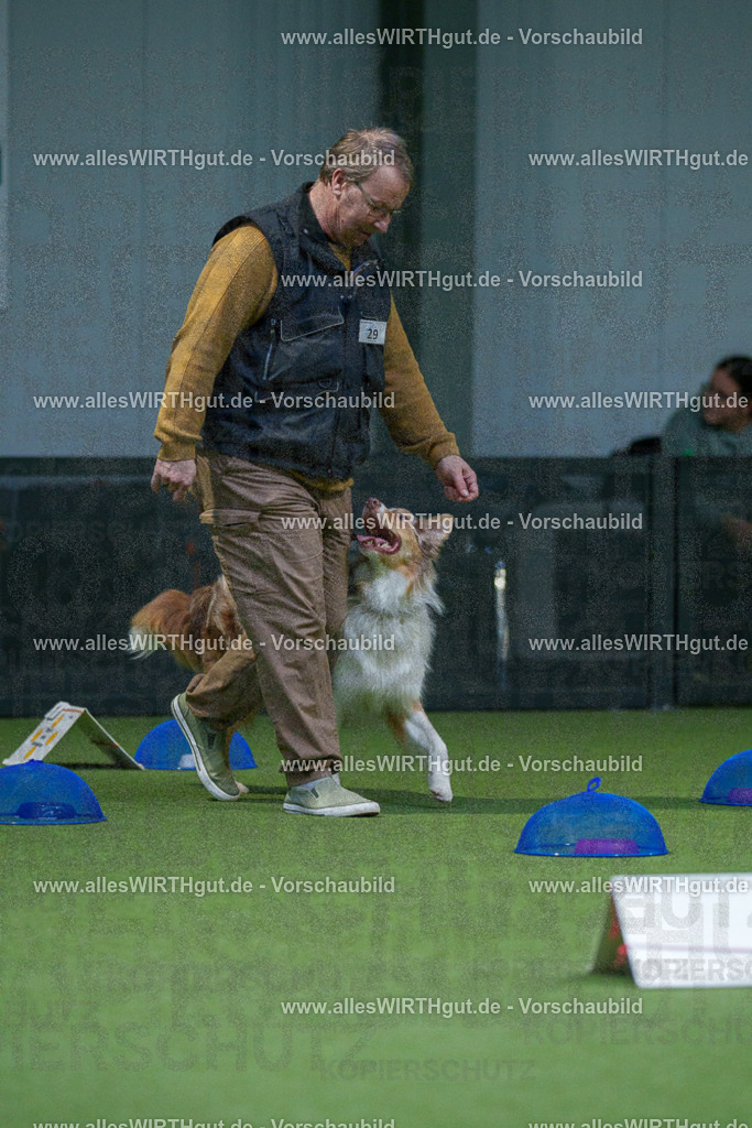 7R500519 | Professionelle Tierfotografie in Mönchengladbach von Daniel Wirth (allesWIRTHgut). Liebevolle & natürliche Bilder von Hunden & Katzen für unvergessliche Erinnerungen.