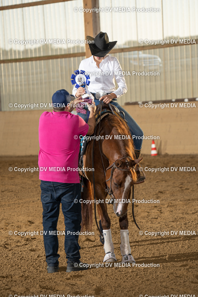 LAU02045 | dv-media-shop - Realisiert mit Pictrs.com