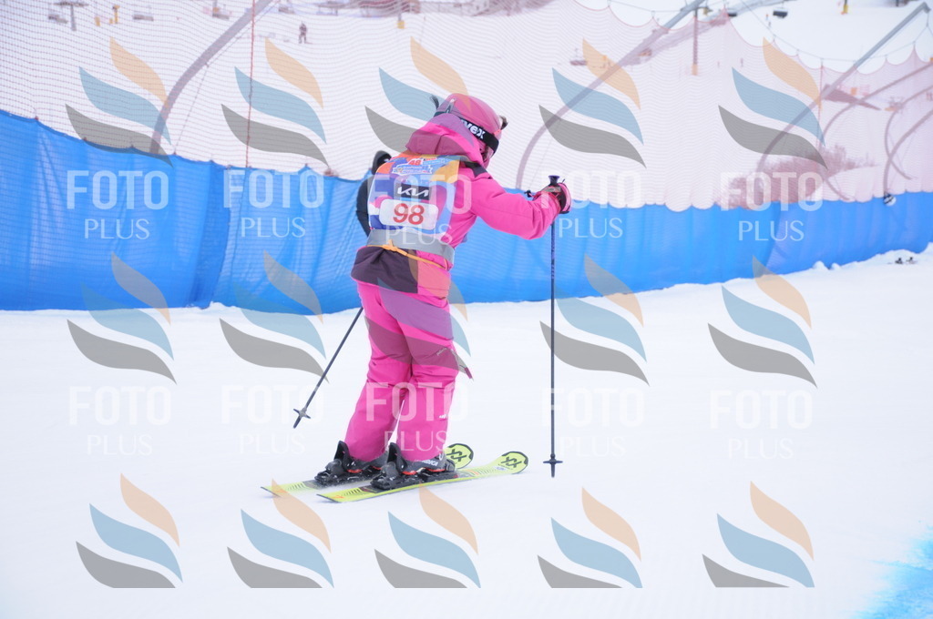 DSC_8313 | holidayphoto