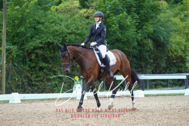 DKP40337 | Turniersportfotografie; Pferdefotografie; Dressurfotografie