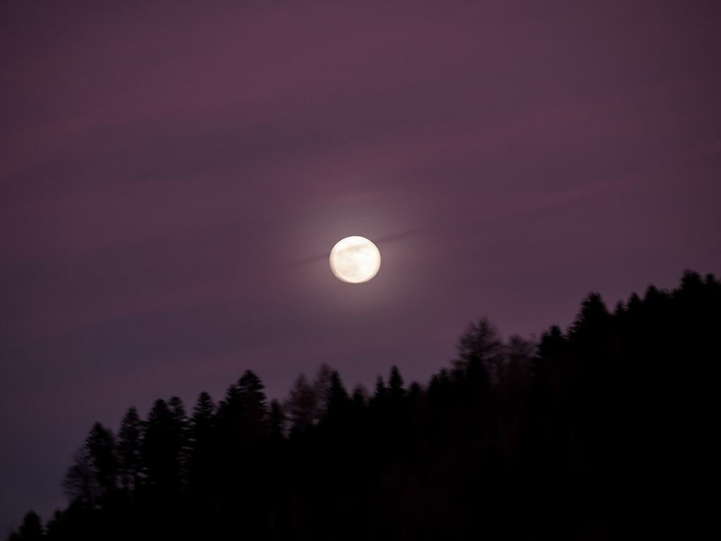 PSX_20230106_234237 | mtkfoto_ - Realisiert mit Pictrs.com