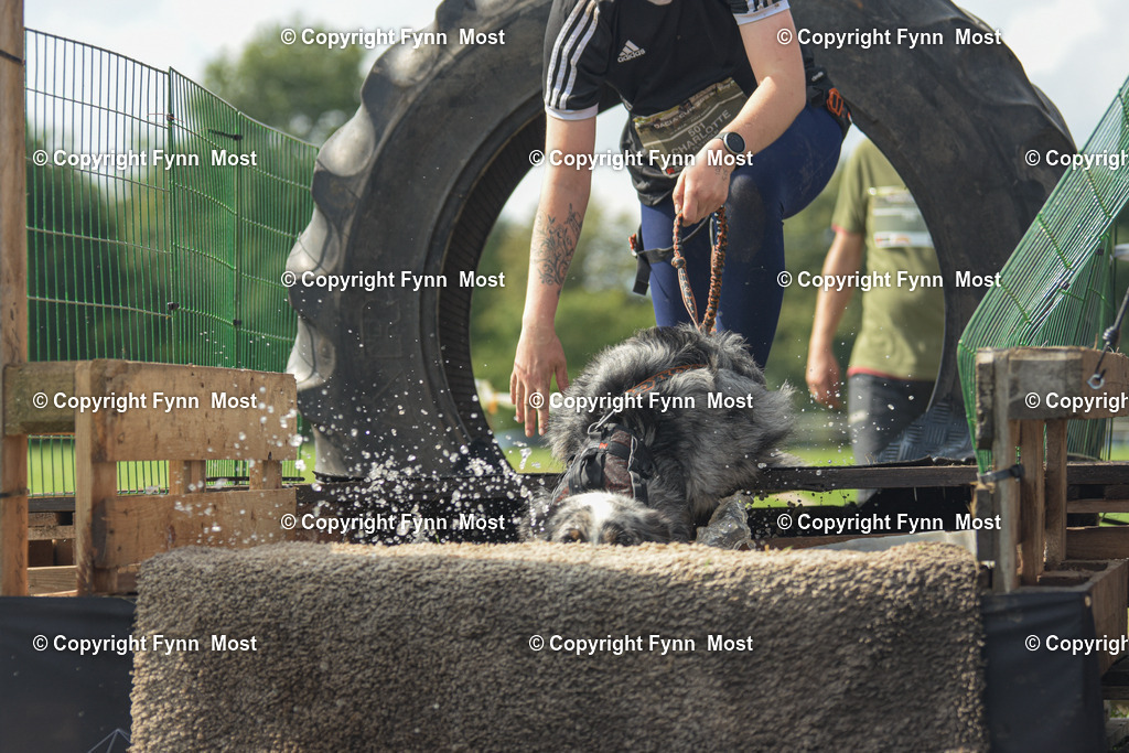 DSC_0435 | Hallo und herzlich Willkommen auf meiner Shop-Seite Fynn Most.

Ich wünsche Dir viel Spaß beim stöbern durch die Bilder, wenn Du Fragen hast oder Bilder vermisst, kannst du mir gerne eine Nachricht schreiben. - Realisiert mit Pictrs.com