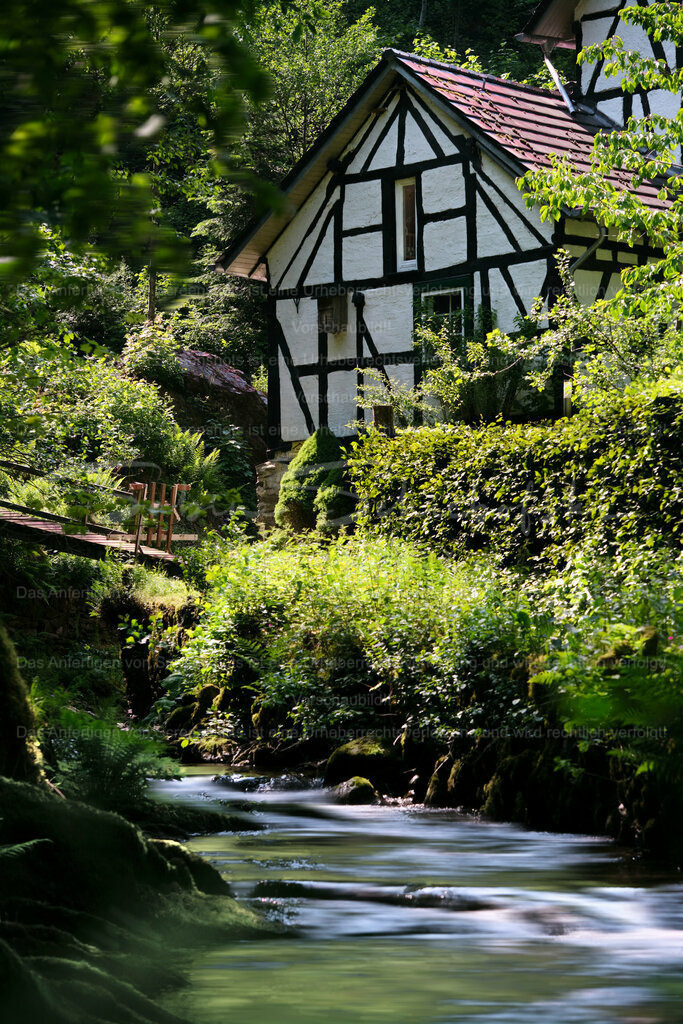 Wandbild "Im Tal der wilden Endert" | Entlang der Endert findent man immer wieder idyllisch gelegene Mühlen - Realisiert mit Pictrs.com