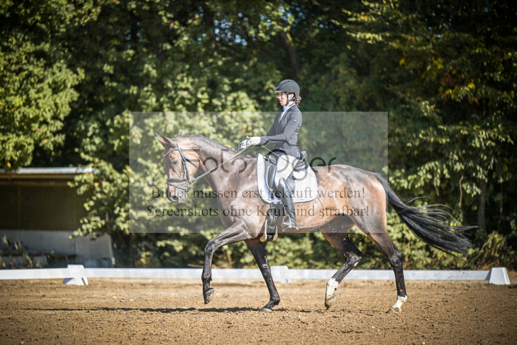 DOS_3273 | Entdecke hochwertige Reitturnierfotos von Foto Oger. Professionell, emotional und authentisch – jetzt Lieblingsmomente im Shop bestellen.Deutschlandweite Turnierfotografie. - Realisiert mit Pictrs.com