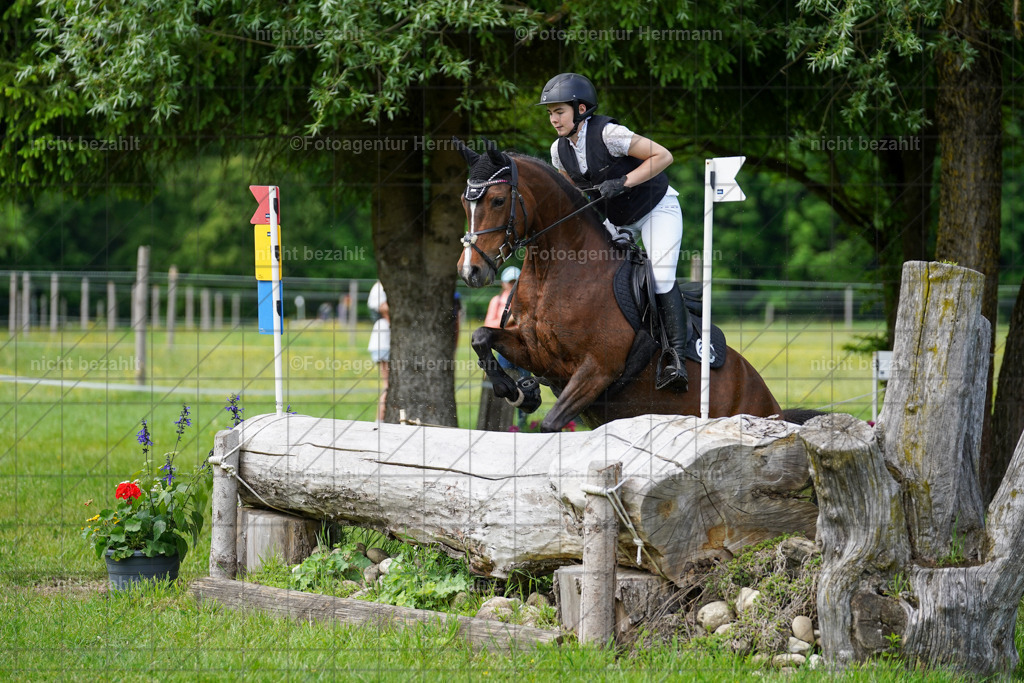 20240518-FAH03788 | Turnierbilder von Niederseon, Turnierfotografen Bayern, Fotoagentur Herrmann, Geländebilder, Reitsportfotografie