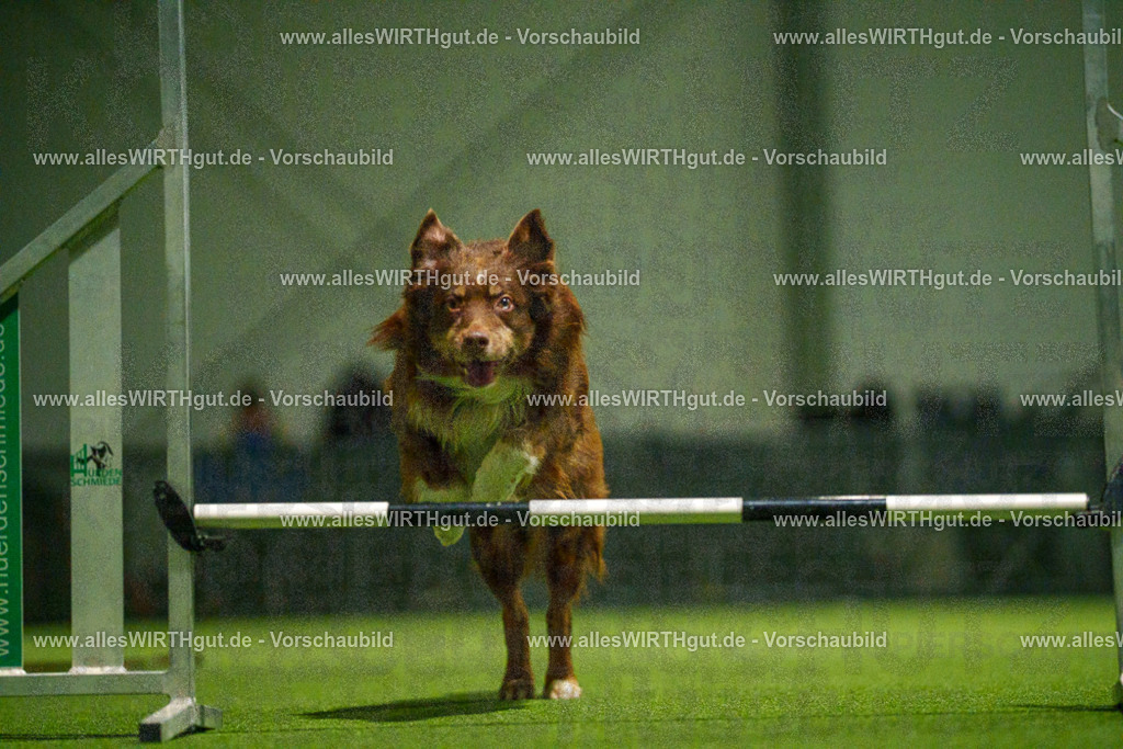 7R509112 | Professionelle Tierfotografie in Mönchengladbach von Daniel Wirth (allesWIRTHgut). Liebevolle & natürliche Bilder von Hunden & Katzen für unvergessliche Erinnerungen.