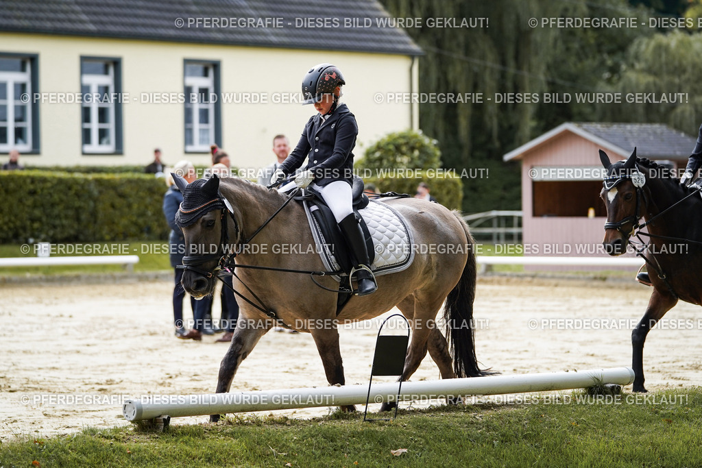 DSC05256 | Pferdegrafie