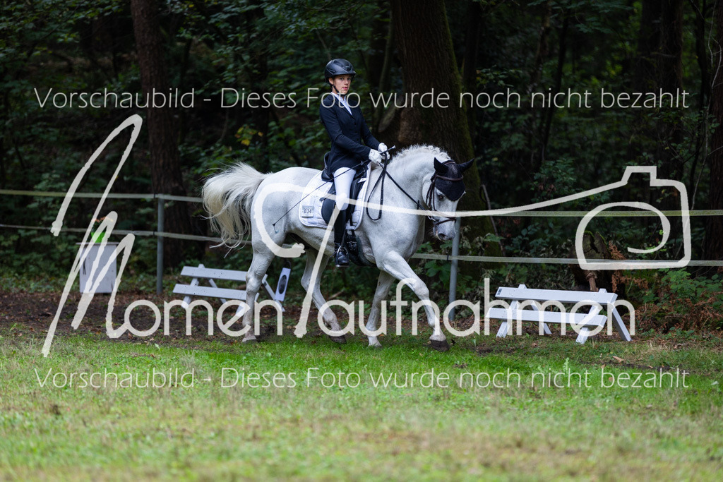 HB-A-Dressur-082 | MomenTaufnahmen Pferdesportfotos