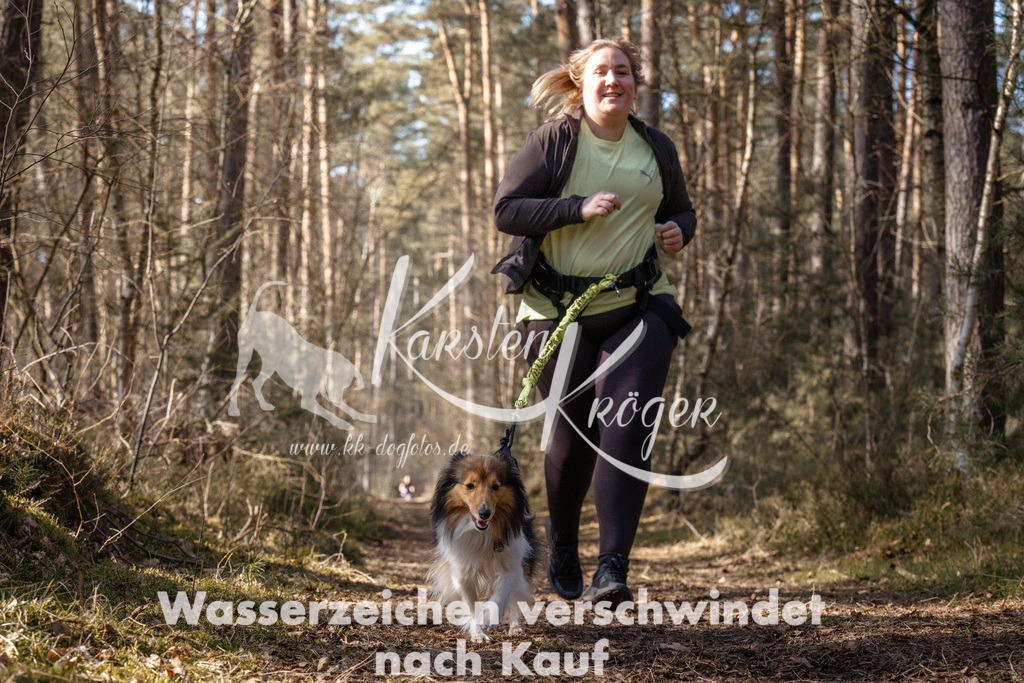 1334_ZZ94727 | kk-dogfotos