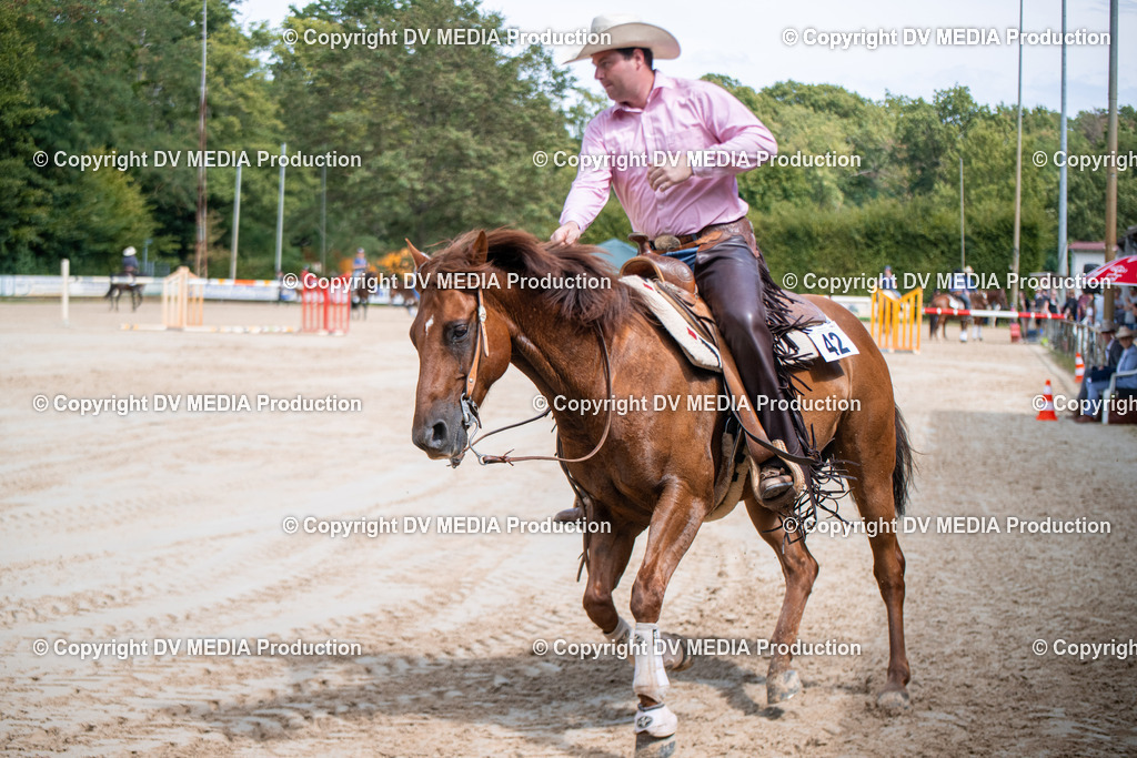 ZS3_5270 | dv-media-shop - Realisiert mit Pictrs.com