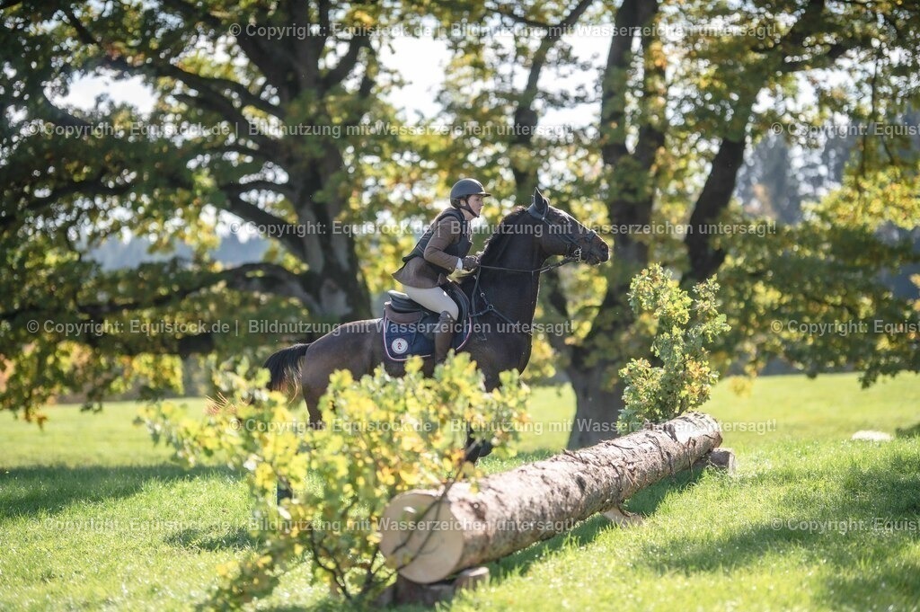 20251011_Jagd-Marbach_0421 | Foto: Thomas Hartig