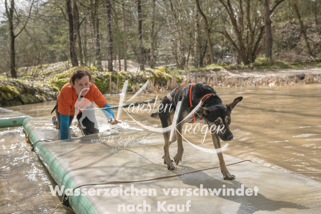 1351_ZZ90812 | kk-dogfotos