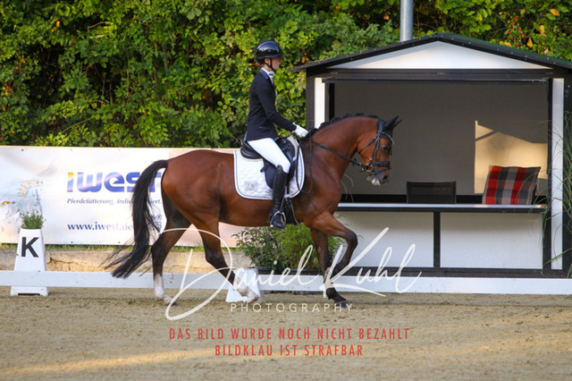 DKP41193 | Turniersportfotografie; Pferdefotografie; Dressurfotografie