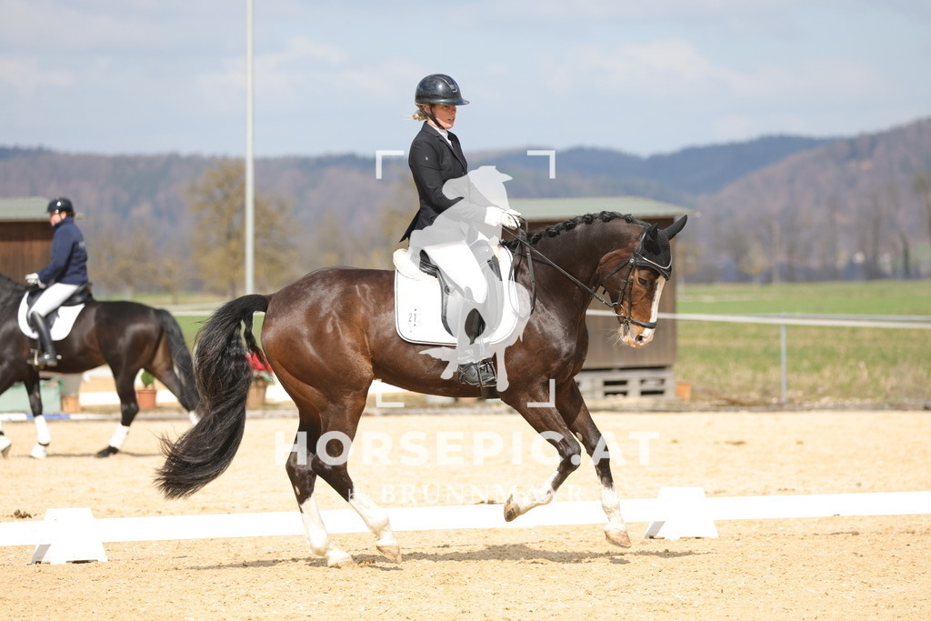 0P6A6821 | Willkommen bei Brunnmayr - Design & Fotografie – Ihrem Spezialisten für Reitturniere und Pferdeveranstaltungen in Oberösterreich, Salzburg und Bayern! Seit über 17 Jahren sind wir leidenschaftlich dabei.