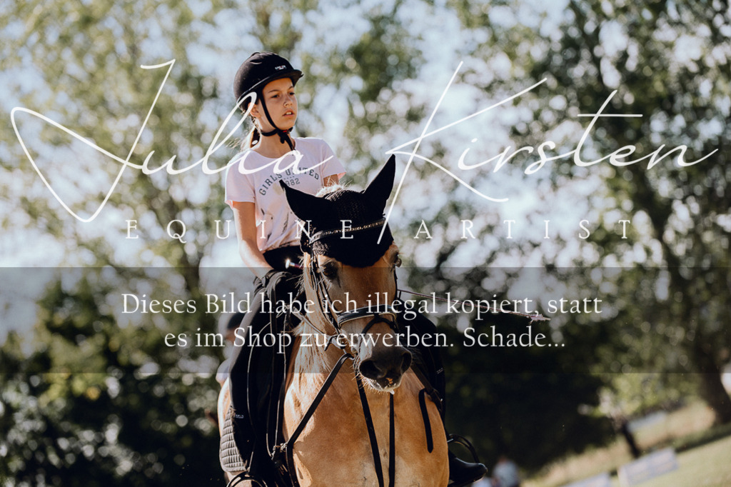 DSC_7181 | Pferde- und Turnierfotografie in Westsachsen. Pferdeportraits, Auftragszeichnungen und intuitive Kunst.