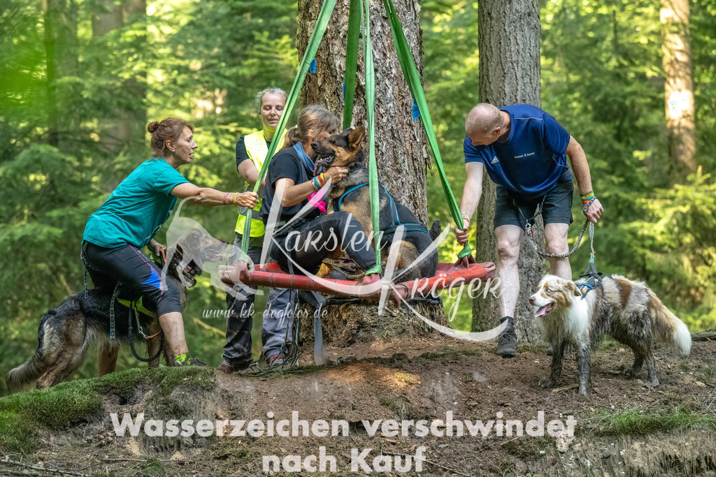 1358_ZZ93974-Bearbeitet | kk-dogfotos