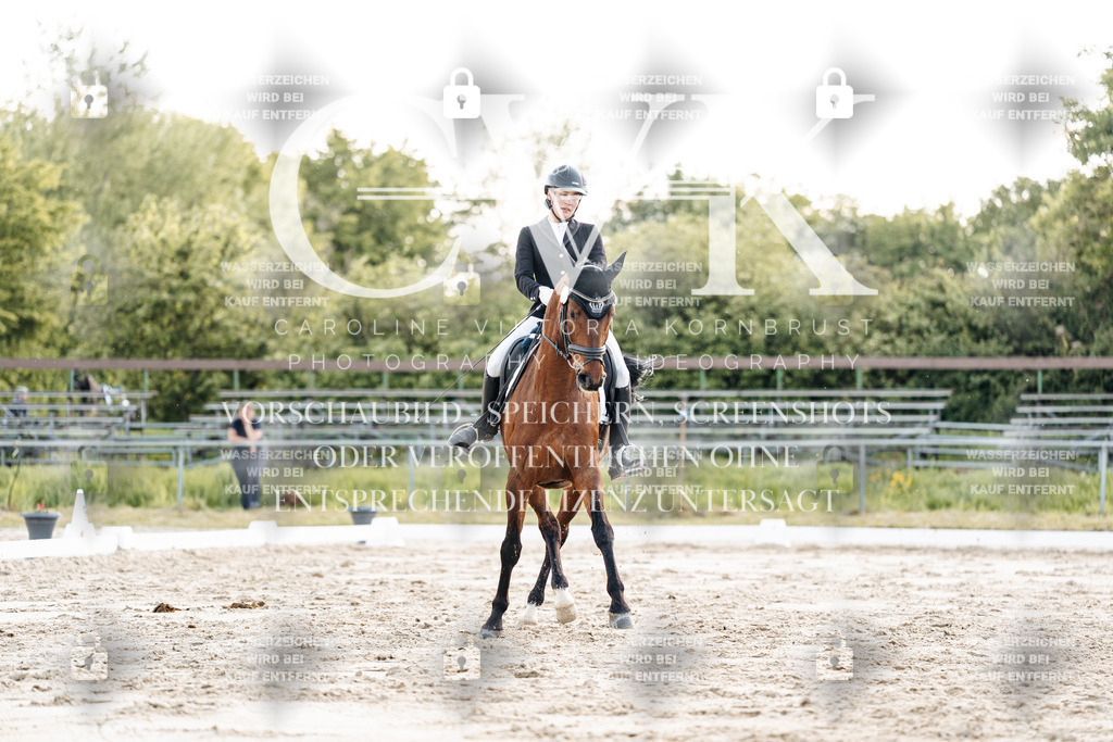 CK909816 | Turnierfotografie Pferdefotografie Trier Rheinland-Pfalz Pferdesport Reitsport Tierfotografie Sportfotografie Pferdevideo Pferdevideografie Equestrianvideography equestrianphotography  - Realisiert mit Pictrs.com