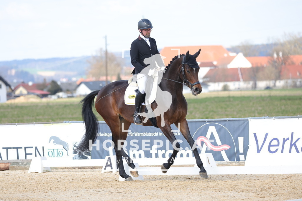 0P6A7667 | Willkommen bei Brunnmayr - Design & Fotografie – Ihrem Spezialisten für Reitturniere und Pferdeveranstaltungen in Oberösterreich, Salzburg und Bayern! Seit über 17 Jahren sind wir leidenschaftlich dabei.