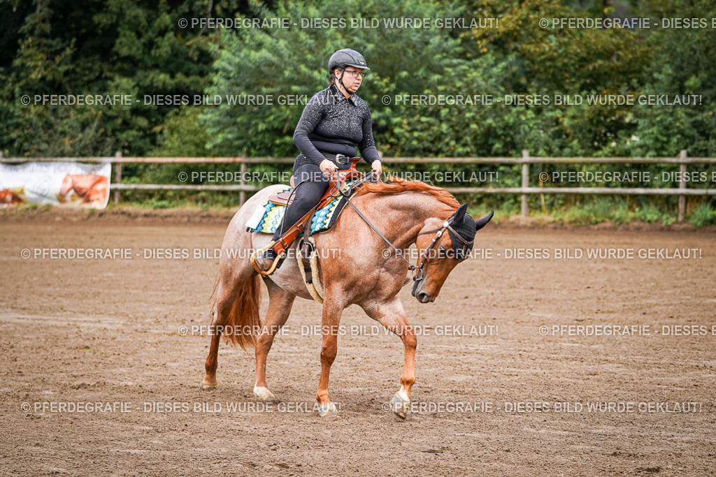 DSC05642 | Pferdegrafie