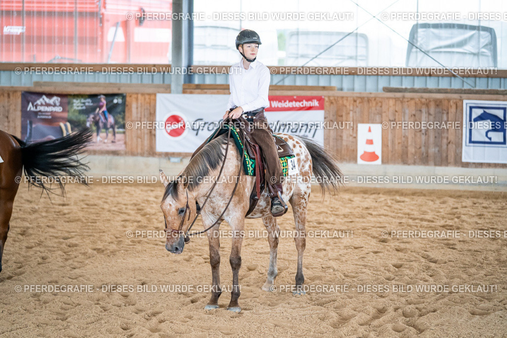 DSC01371 | Pferdegrafie