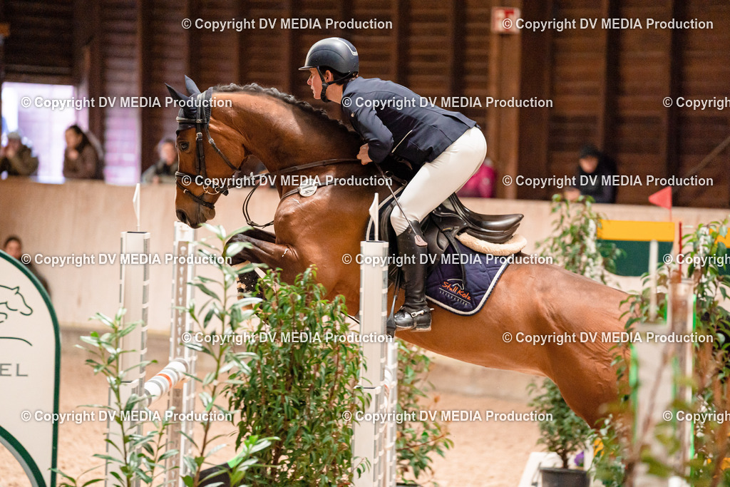 Springen Tag 1-324 | dv-media-shop - Realisiert mit Pictrs.com