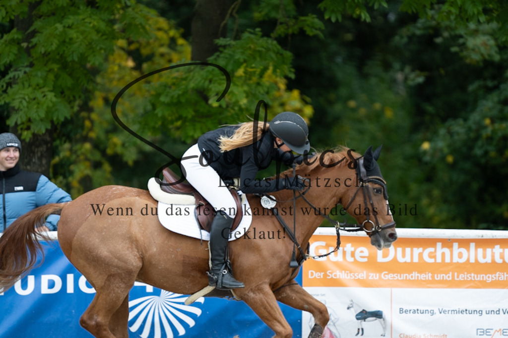 A7V00025 | Turnier/Reitfotograf