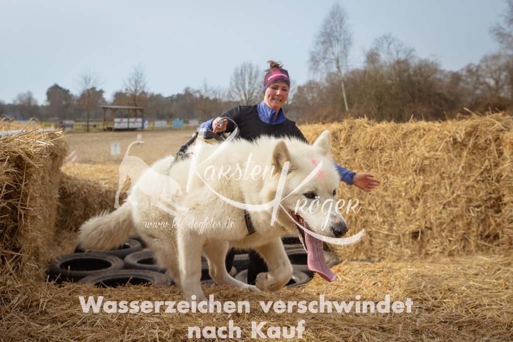 1123_ZZ93364 | kk-dogfotos