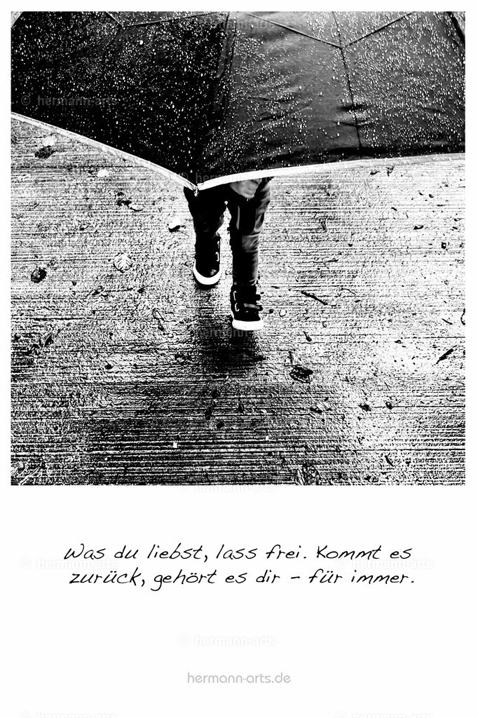 PK_Zitate_10x15_BW-042 | Photo Foto Kunst Art schwarzweiss Bilder Rheine Münster Berlin Blumen 