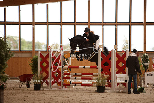 1J2A2766Miriam Steinicke_ Supernova 6_ Kn456_ Hohen Wieschendorf_ Glantz | Foto- und Videografie für alles rund ums Pferd. Hochwertige Bilder und Videos vom Spring- und Dressurreiten, Voltigieren & mehr. Jetzt aktuelle Veranstaltungen und Preise im Shop ansehen. - Realisiert mit Pictrs.com