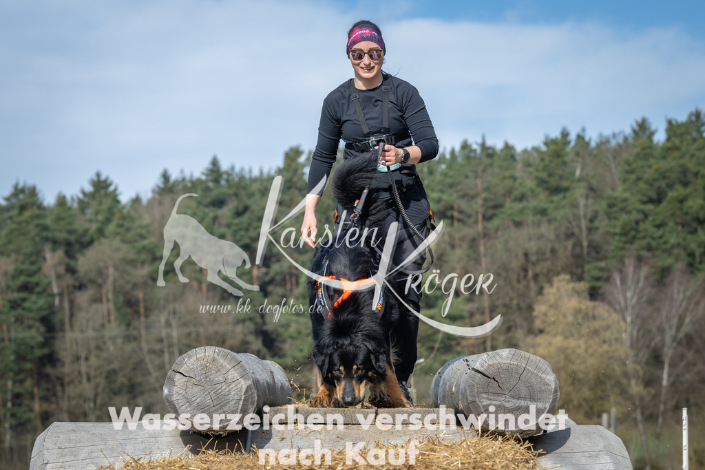0951_ZZ96758 | kk-dogfotos