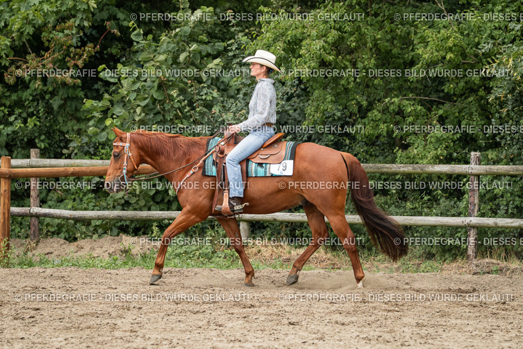 DSC03158 | Pferdegrafie