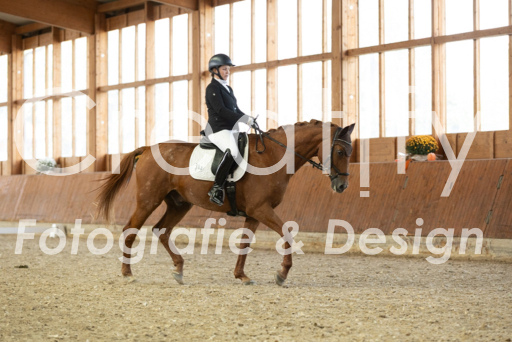 IMG_5839 | Creatify Fotografie