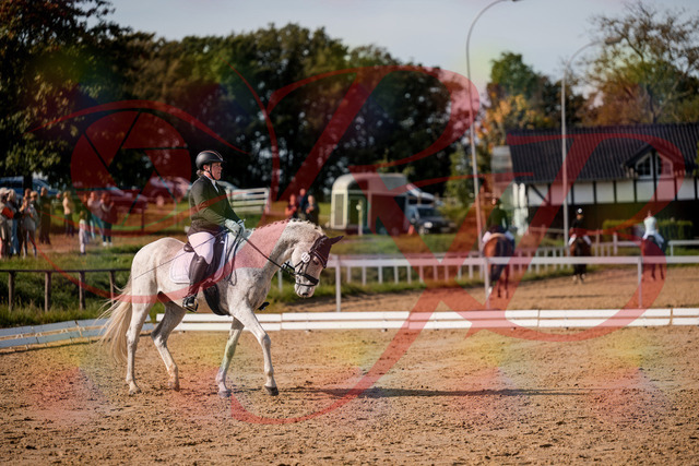 2026_10_03_Siefer-Hof_122837_Z63_48947150 | Professionelle Reitsport-, Turnier- und Eventfotografie von Robert Broda. Galerien mit ausgewählten und bearbeiteten Bildern direkt online ansehen und bestellen.