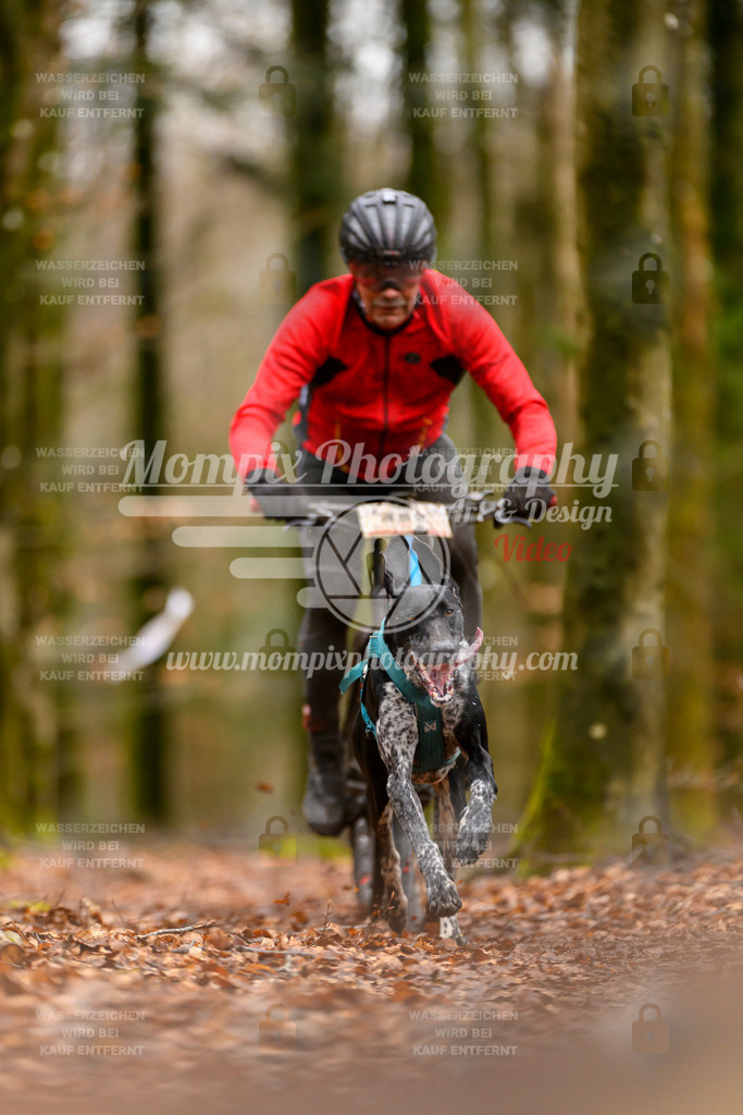 MompixPhotography_Habay2024_SA_Bike-8 | mompixphotography