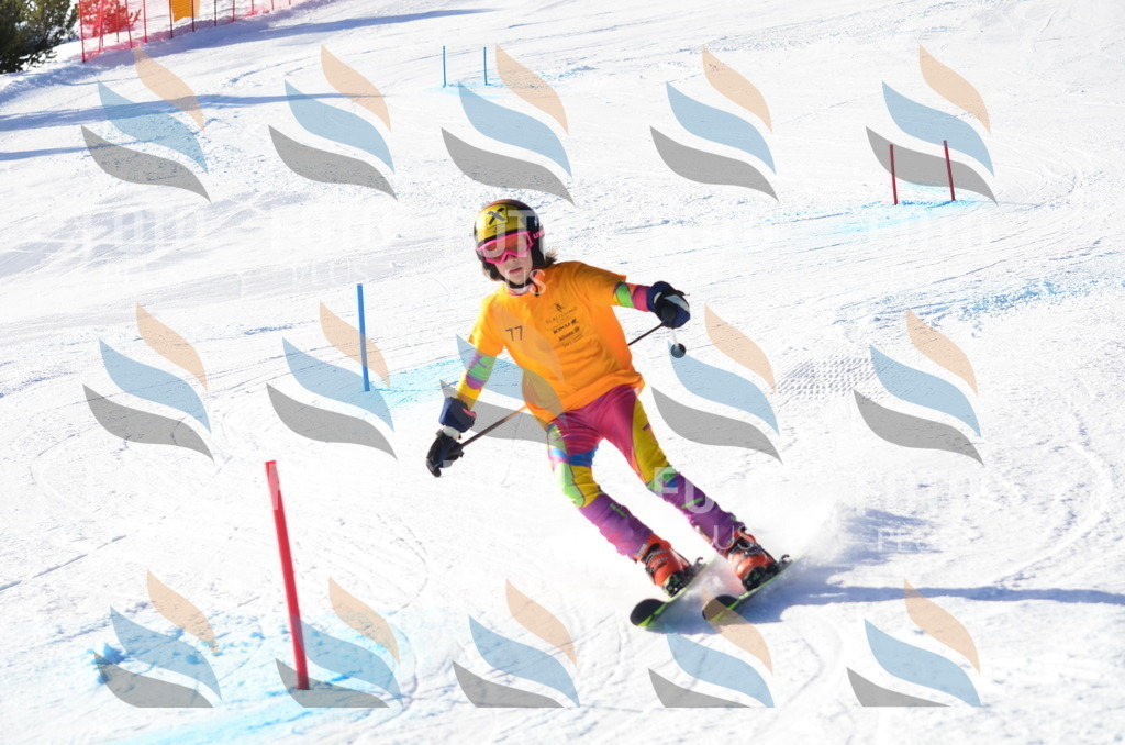 C5952 | holidayphoto