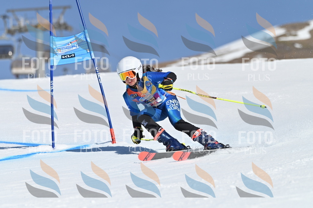 BGV_8076 | holidayphoto