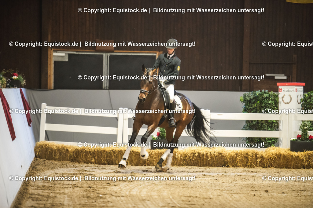 20240302_Hengstvorstellung_Marbach_TOMsPiC_0141 | equistock