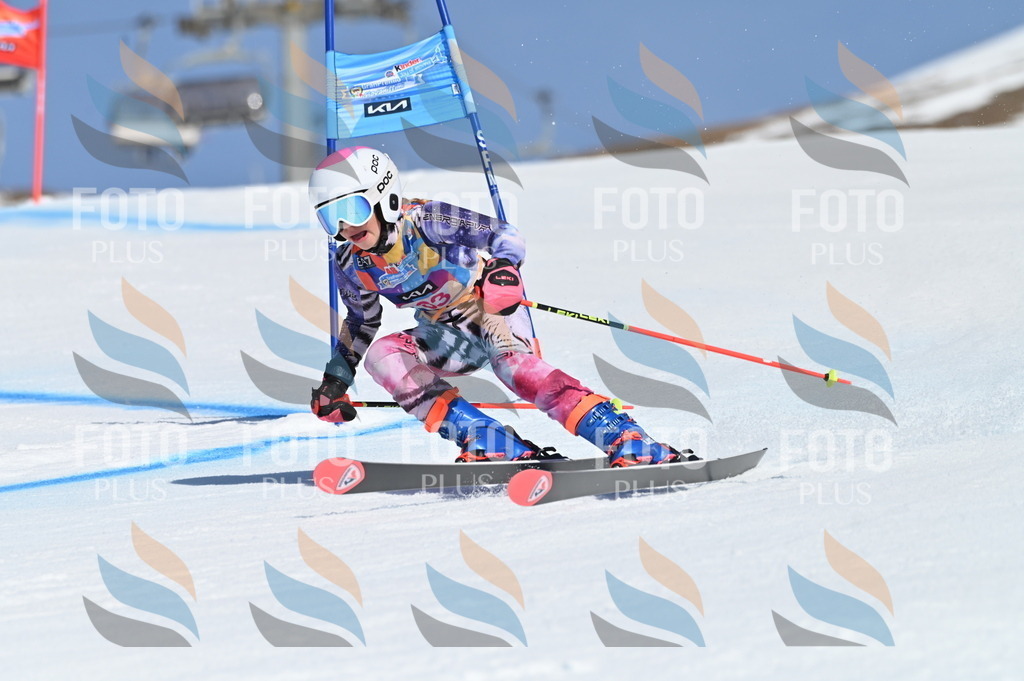 BGV_8788 | holidayphoto