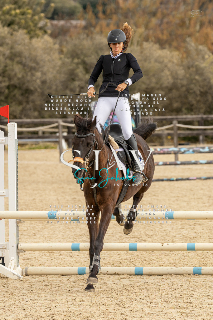 IMG_4544 | s-jay-photography - Realisiert mit Pictrs.com