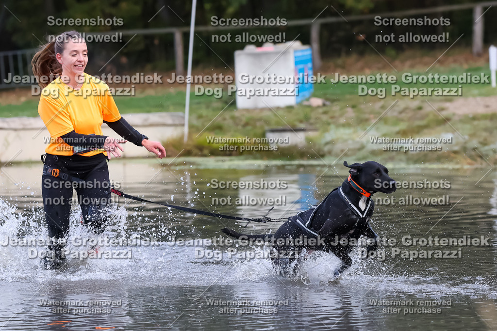 Dog Paparazzi - Strongdog 10-25-6324 | Dog Paparazzi Jeanette Grottendiek Fotografie & Videografie - Realisiert mit Pictrs.com