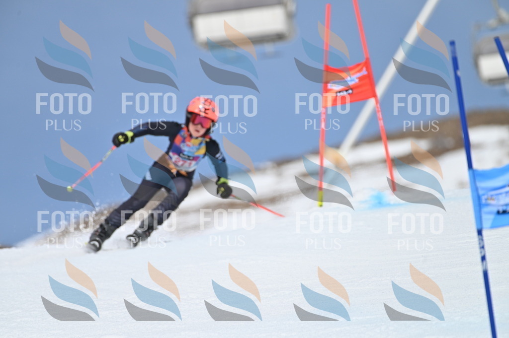 BGV_2265 | holidayphoto