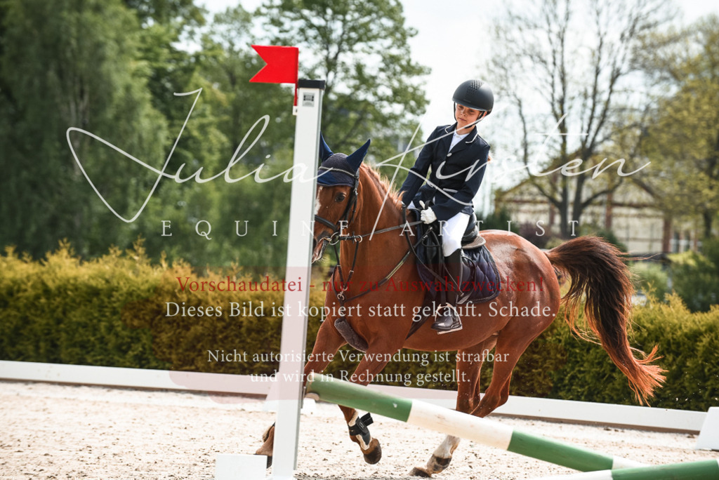 20230518_JK-Röhrsdorf-10-014 | Pferde- und Turnierfotografie in Westsachsen. Pferdeportraits, Auftragszeichnungen und intuitive Kunst.