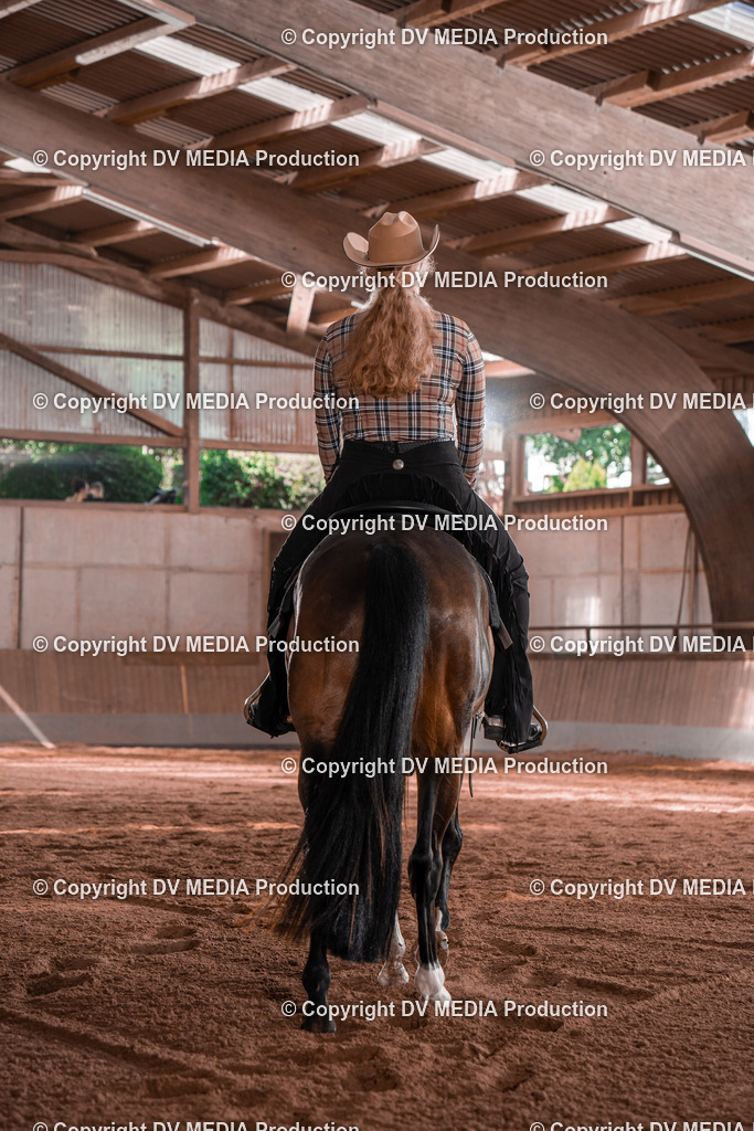 NE100378 | dv-media-shop - Realisiert mit Pictrs.com