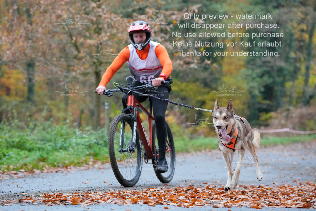 Bike_So-71 | stephaniefillaphotographie - Realisiert mit Pictrs.com