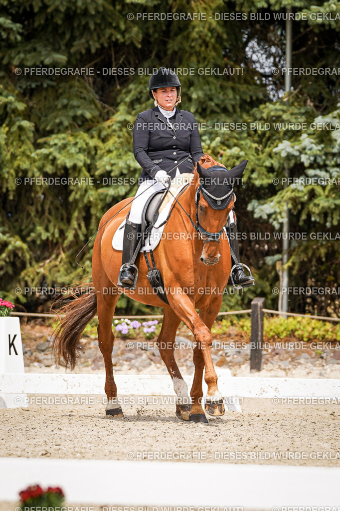 DSC04000 | Pferdegrafie