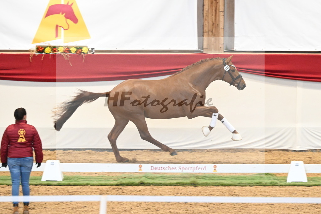 Kat.-Nr. 45 v. Escanto PS_De Vittorio und Stechele_3260375 | hf-fotografie - Realisiert mit Pictrs.com