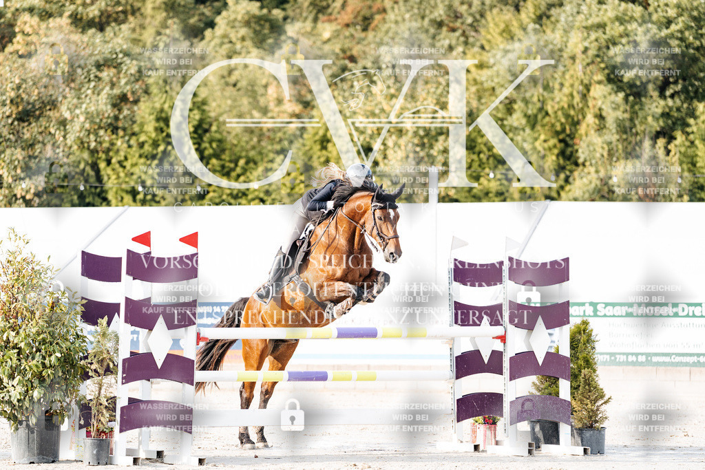 CK903270 | Turnierfotografie Pferdefotografie Trier Rheinland-Pfalz Pferdesport Reitsport Tierfotografie Sportfotografie Pferdevideo Pferdevideografie Equestrianvideography equestrianphotography  - Realisiert mit Pictrs.com