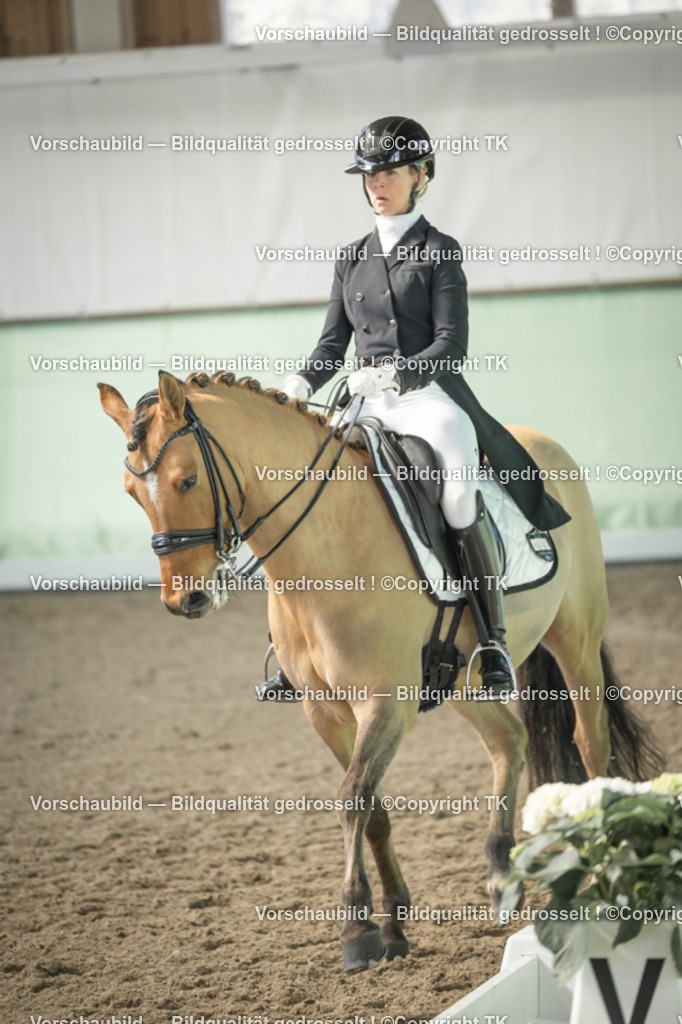 _D5A1745 | Emotionale Pferde- & People-Fotografie rund um Heidelberg, Leimen & Umgebung. Natürliche Fotos von Pferd, Mensch & Familie. Jetzt Termin sichern!