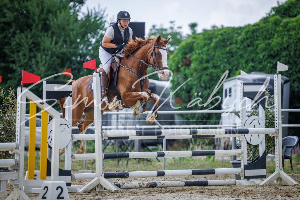 20260705-_3LI4453 | Tierfotografie Pferde, Hunde, Katzen, Haustiere.
Turnierfotografie Reitturniere, Reiten, Springreiten, Dressur in Hanau, dem Main-Kinzig-Kreis und dem Rhein-Main- Gebiet um Frankfurt